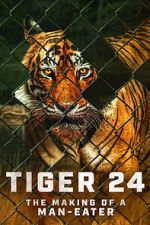 Watch Tiger 24 123movies
