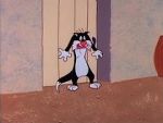 Watch Cats and Bruises (Short 1965) 123movies