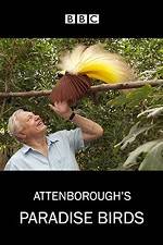 Watch Attenborough's Paradise Birds 123movies