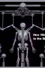 Watch How Wings Are Attached to the Backs of Angels 123movies