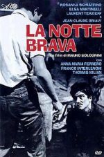 Watch The Big Night 123movies