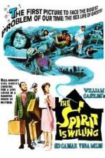 Watch The Spirit Is Willing 123movies