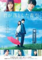 Watch The Blue Skies at Your Feet 123movies