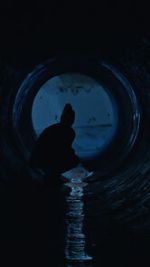 Watch Gwafi (Short 2022) 123movies