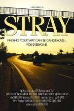 Watch Stray 123movies