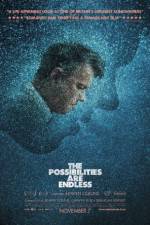 Watch The Possibilities Are Endless 123movies