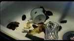 Watch Coup de lune (TV Short 2000) 123movies