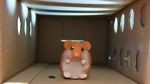Watch Hamster Hell (Short 2012) 123movies