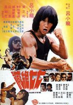 Watch Challenge of the Tiger 123movies