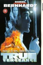 Watch True Vengeance 123movies