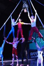 Watch Circus School 123movies