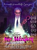 Watch The Mysterious Mr. Wizdom 123movies