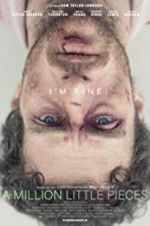 Watch A Million Little Pieces 123movies