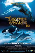 Watch Dolphins and Whales 3D Tribes of the Ocean 123movies