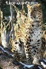 Watch Leopard Queen 123movies