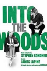Watch Into the Woods 123movies