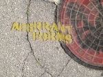 Watch Aberrant Forms: A Jurassic Short 123movies