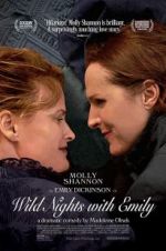 Watch Wild Nights with Emily 123movies