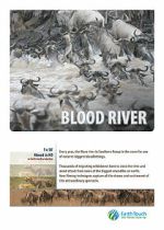 Watch Blood River Crossing 123movies