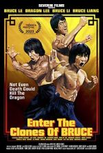 Watch Enter the Clones of Bruce 123movies