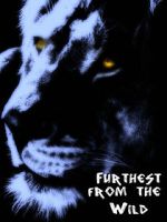Watch Furthest from the Wild 123movies