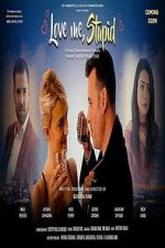 Watch Love Me Stupid 123movies