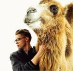 Watch Mikolas Josef: Lie to Me 123movies