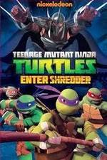 Watch Teenage Mutant Ninja Turtles: Enter Shredder 123movies