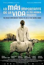 Watch The Most Important Thing in Life Is Not Being Dead 123movies