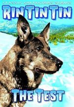 Watch The Test 123movies