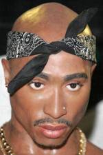 Watch Tupac Is Not Dead 123movies