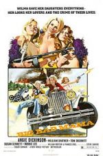 Watch Big Bad Mama 123movies