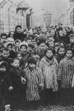 Watch AUSCHWITZ: LIBERATION AND REVENGE 123movies