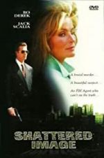 Watch Shattered Image 123movies