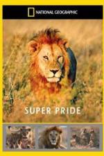 Watch National Geographic: Super Pride  Africa's Largest Lion Pride 123movies