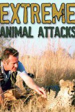 Watch Extreme Animal Attacks 123movies