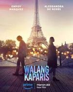 Watch Nothing Like Paris 123movies