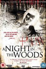 Watch A Night in the Woods 123movies