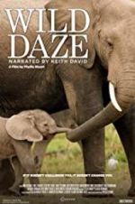 Watch Wild Daze 123movies