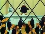 Watch Cracked Quack (Short 1952) 123movies