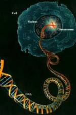 Watch Horizon: Miracle Cure? A Decade of the Human Genome 123movies