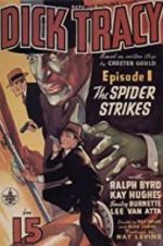 Watch Dick Tracy 123movies