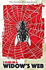 Watch 3 Flies in a Widows Web 123movies