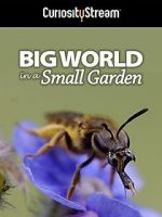 Watch Big World in a Small Garden (TV Short 2016) 123movies