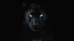 Watch The Real Black Panther (Short 2020) 123movies