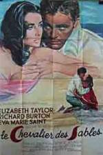 Watch The Sandpiper 123movies