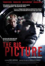 Watch The Big Picture 123movies