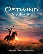 Watch Windstorm: The Great Hurricane 123movies