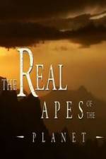 Watch The Real Apes of the Planet 123movies