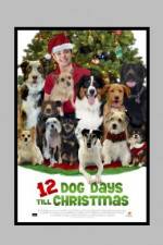 Watch 12 Dog Days of Christmas 123movies